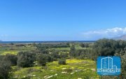 Afrathias Kreta, Afrathias: Grundstück mit herrlichem Meerblick zu verkaufen Grundstück kaufen